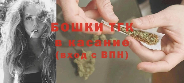 твердый Надым