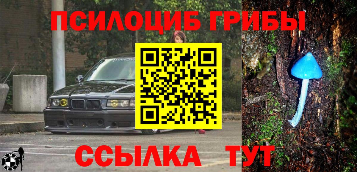 Псилоцибиновые грибы прущие грибы  Вход с VPN  Псилоцибиновые грибы GOLDEN TEACHER  Строитель 