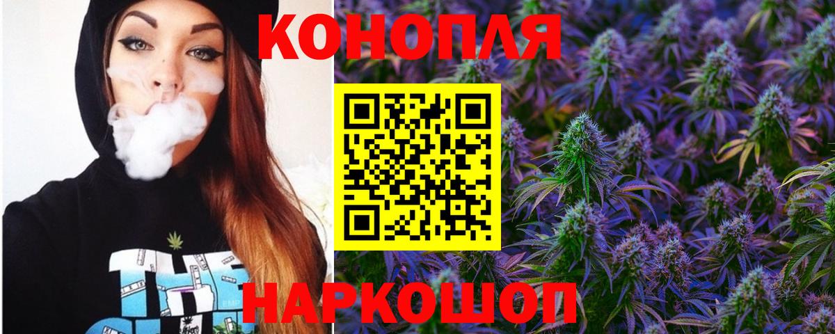 Каннабис ГИДРОПОН Строитель